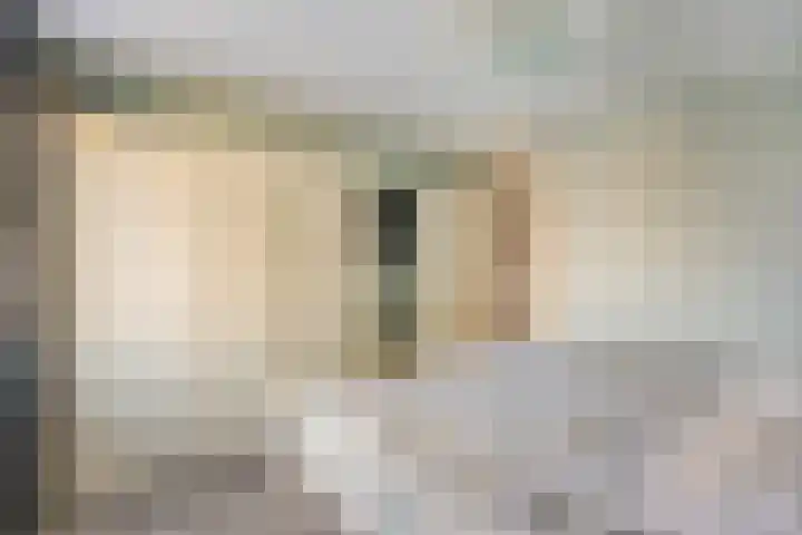 Peggekade 23 Zoetermeer thumbnail 16