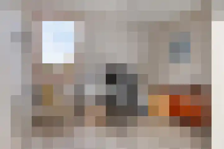 Peggekade 23 Zoetermeer thumbnail 17