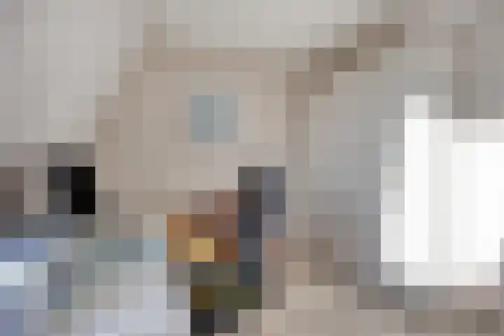 Peggekade 23 Zoetermeer thumbnail 18