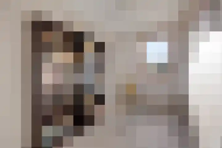 Peggekade 23 Zoetermeer thumbnail 19