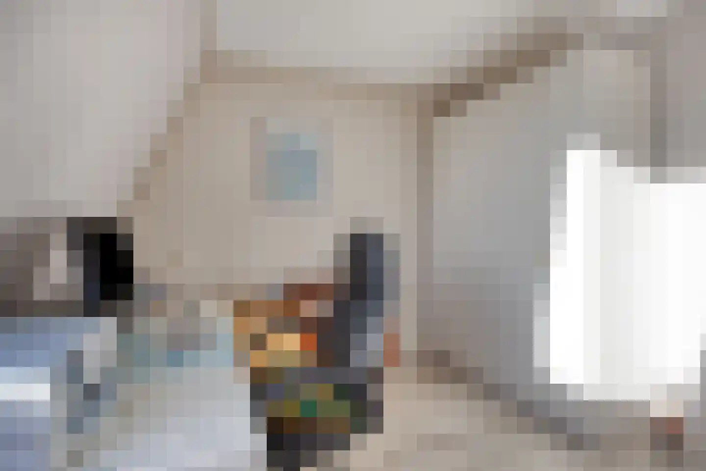 Peggekade 23 Zoetermeer thumbnail 20