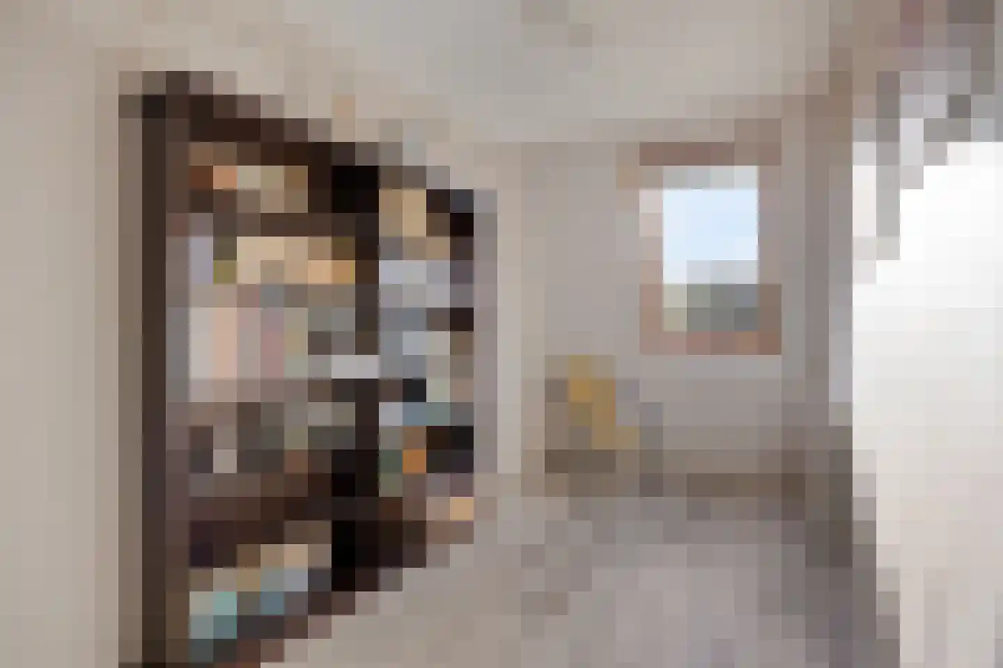Peggekade 23 Zoetermeer thumbnail 21