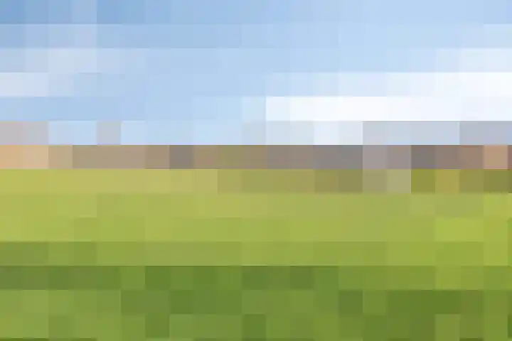 Peggekade 23 Zoetermeer thumbnail 30