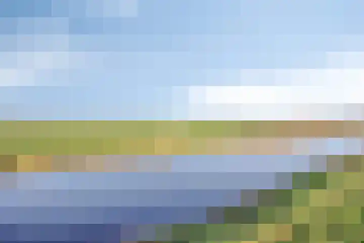 Peggekade 23 Zoetermeer thumbnail 31
