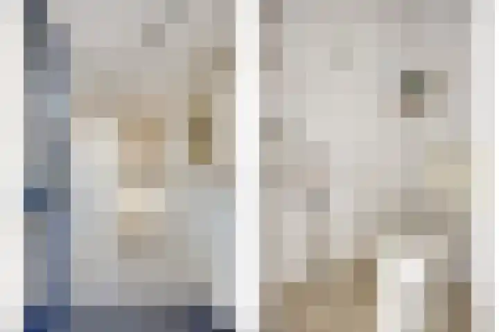 Peggekade 23 Zoetermeer thumbnail 8