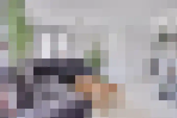 Peggenhoeve 9 Helmond thumbnail 10