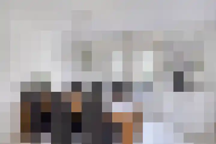 Peggenhoeve 9 Helmond thumbnail 13