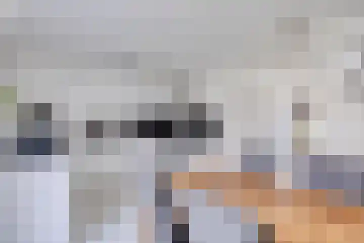 Peggenhoeve 9 Helmond thumbnail 14