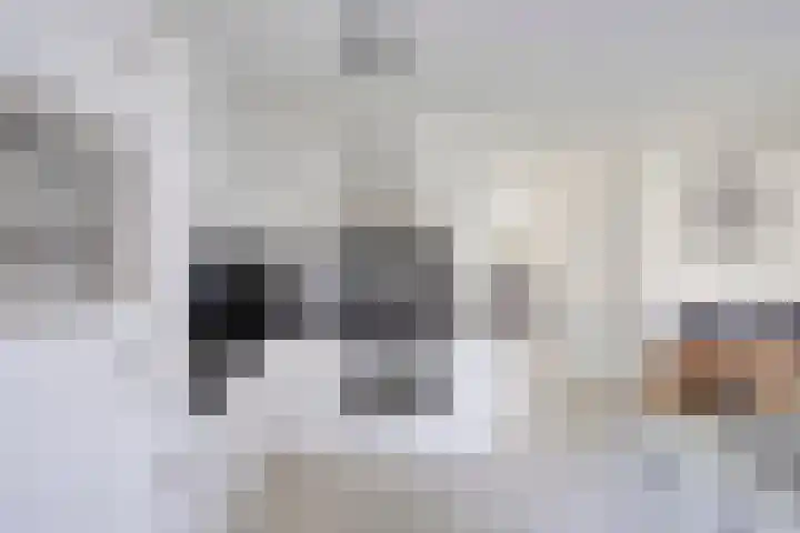 Peggenhoeve 9 Helmond thumbnail 15