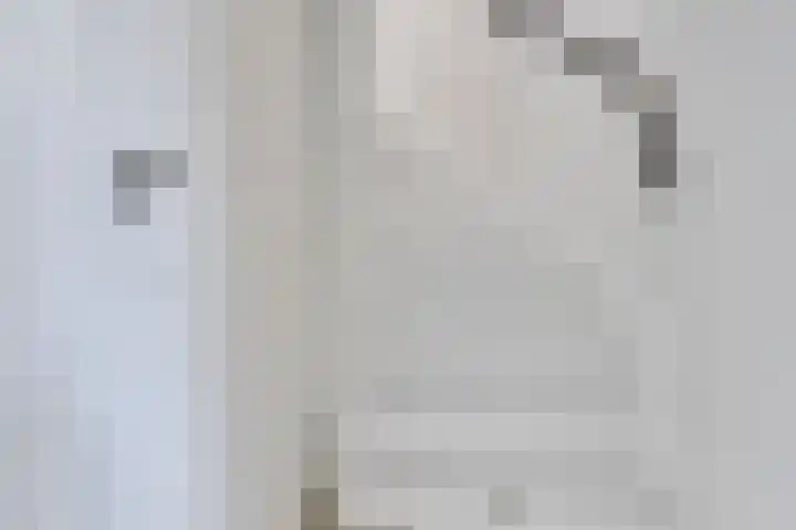 Peggenhoeve 9 Helmond thumbnail 20