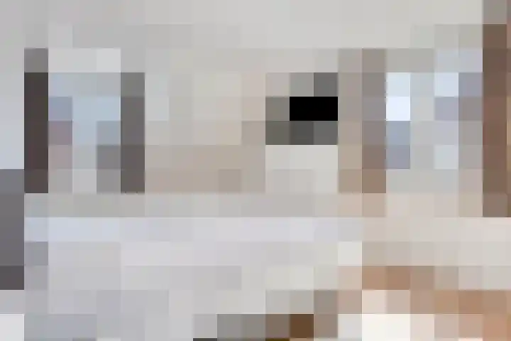 Peggenhoeve 9 Helmond thumbnail 23