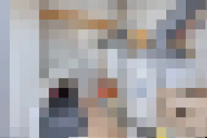 Peggenhoeve 9 Helmond thumbnail 31