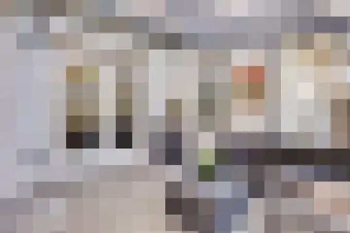 Peggenhoeve 9 Helmond thumbnail 33