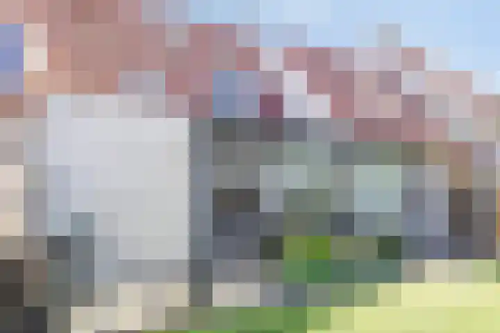 Peggenhoeve 9 Helmond thumbnail 34