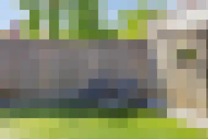 Peggenhoeve 9 Helmond thumbnail 37