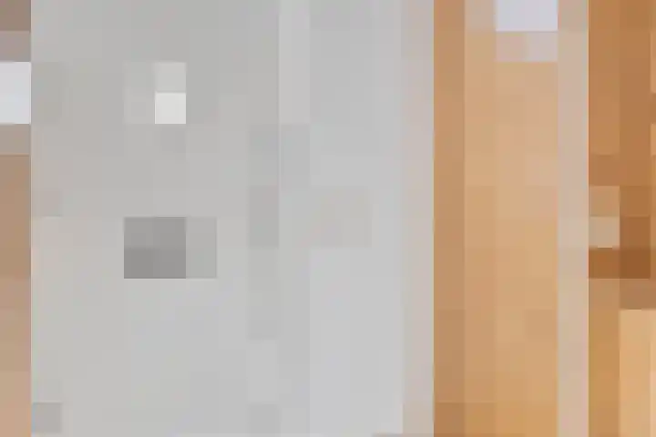 Peggenhoeve 9 Helmond thumbnail 6