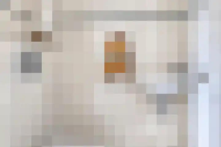 Peggenhoeve 9 Helmond thumbnail 8