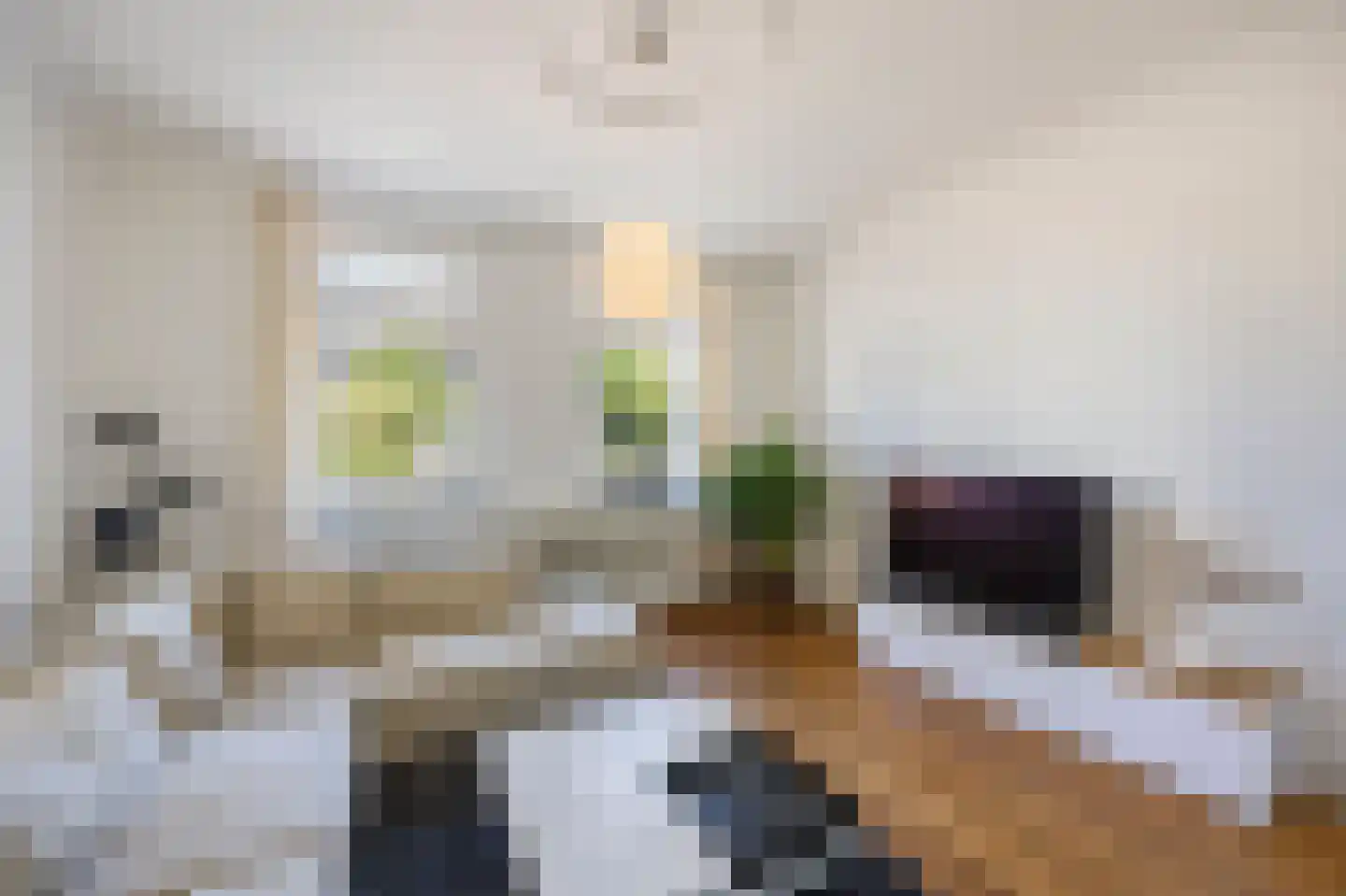 Peijerstraat 136 Echt thumbnail 11