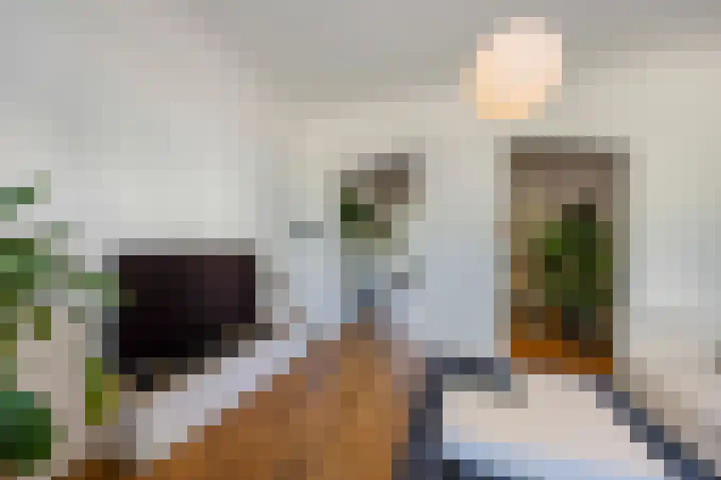 Peijerstraat 136 Echt thumbnail 12