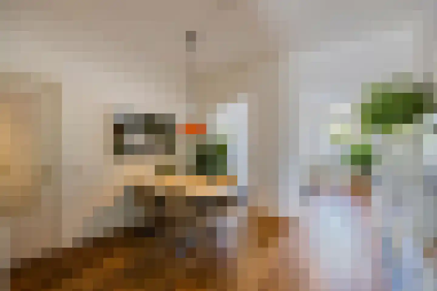 Peijerstraat 136 Echt thumbnail 14