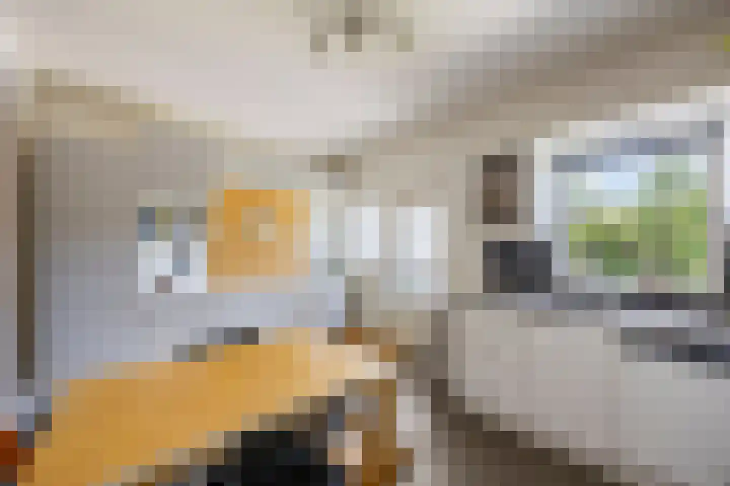 Peijerstraat 136 Echt thumbnail 17