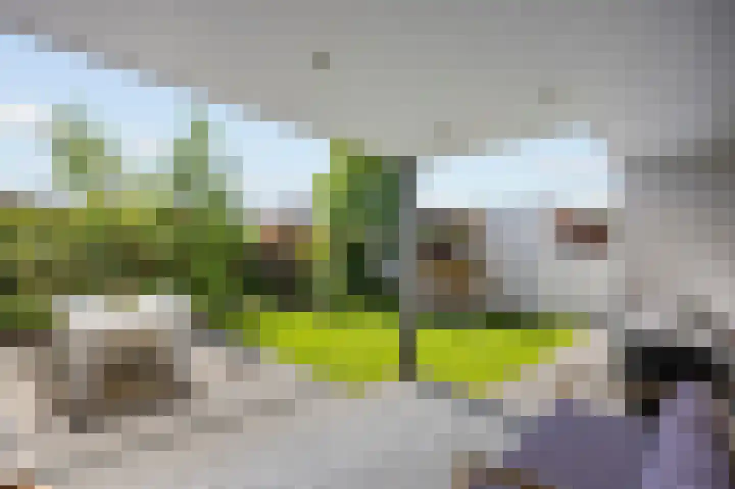Peijerstraat 136 Echt thumbnail 21