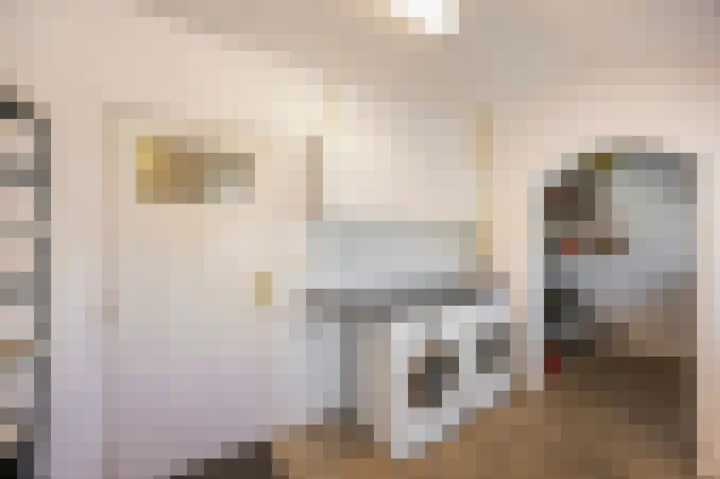 Peijerstraat 136 Echt thumbnail 28
