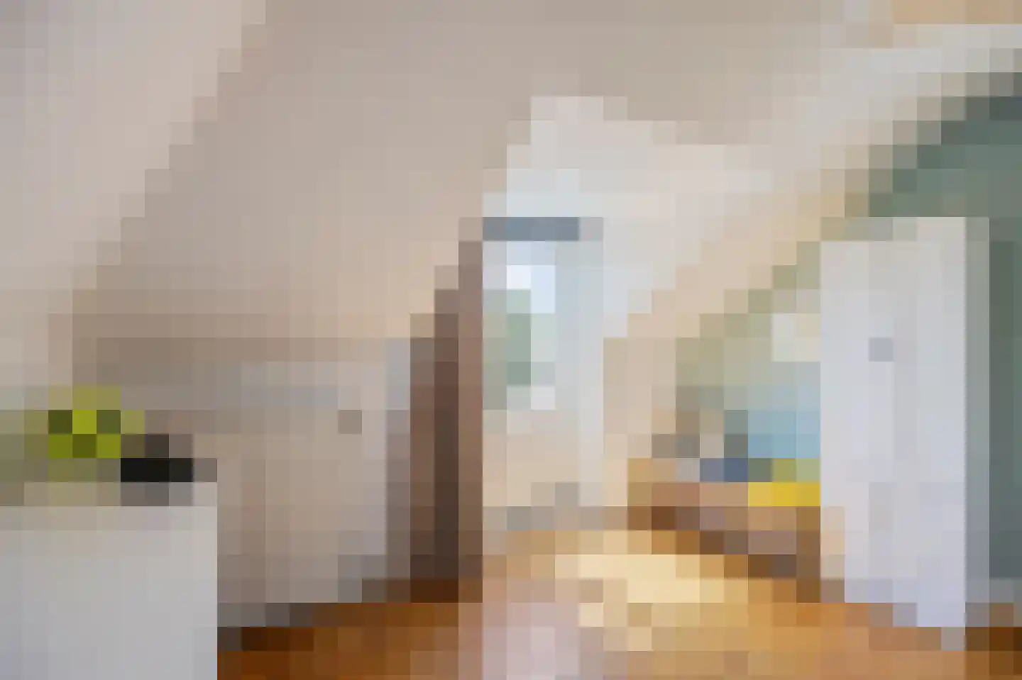Peijerstraat 136 Echt thumbnail 32