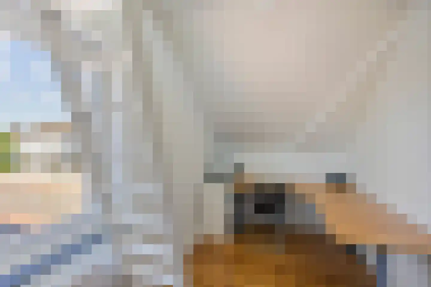 Peijerstraat 136 Echt thumbnail 34