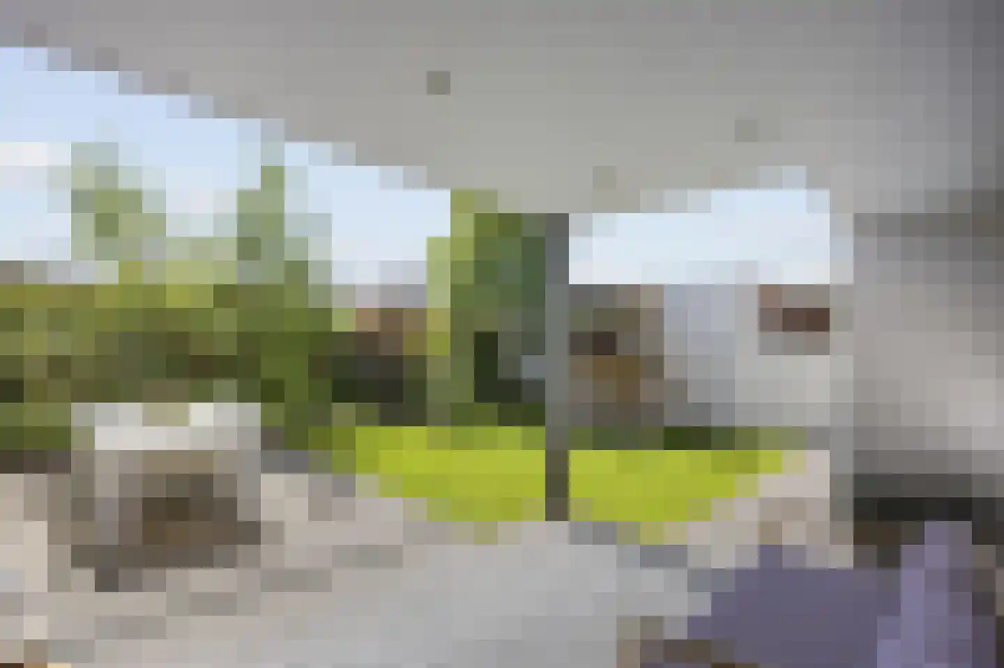 Peijerstraat 136 Echt thumbnail 4