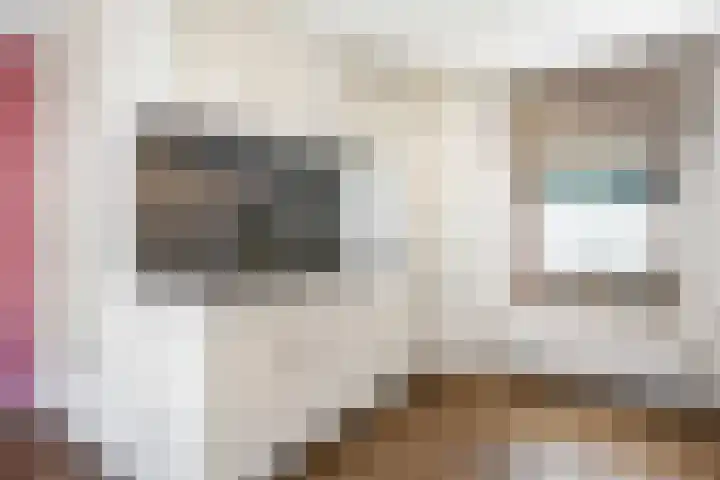 Peijerstraat 28 E Echt thumbnail 10
