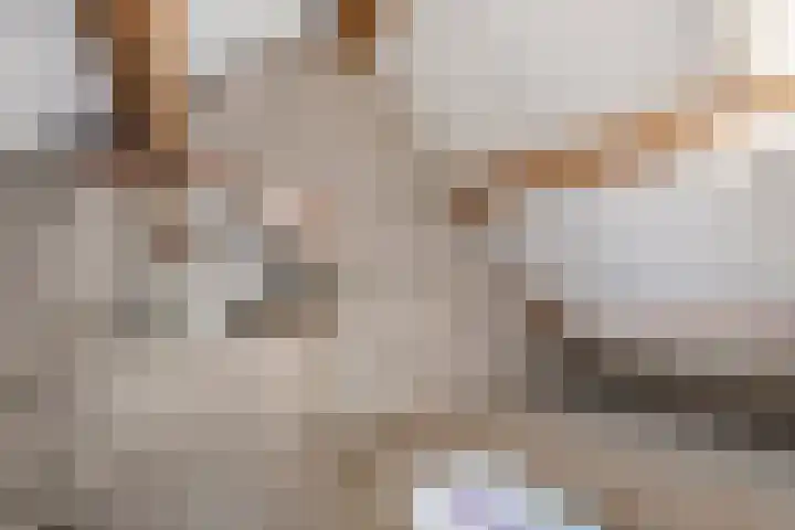 Peijerstraat 28 E Echt thumbnail 21