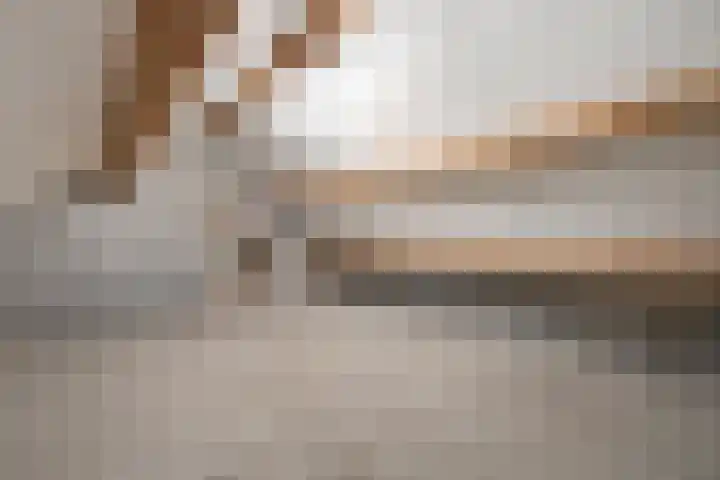 Peijerstraat 28 E Echt thumbnail 22