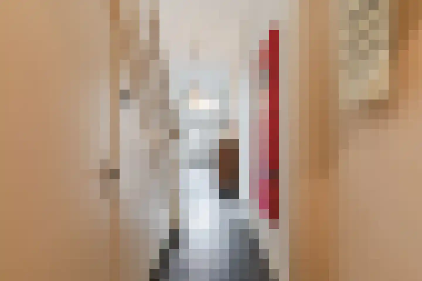 Peijerstraat 35 Echt thumbnail 11