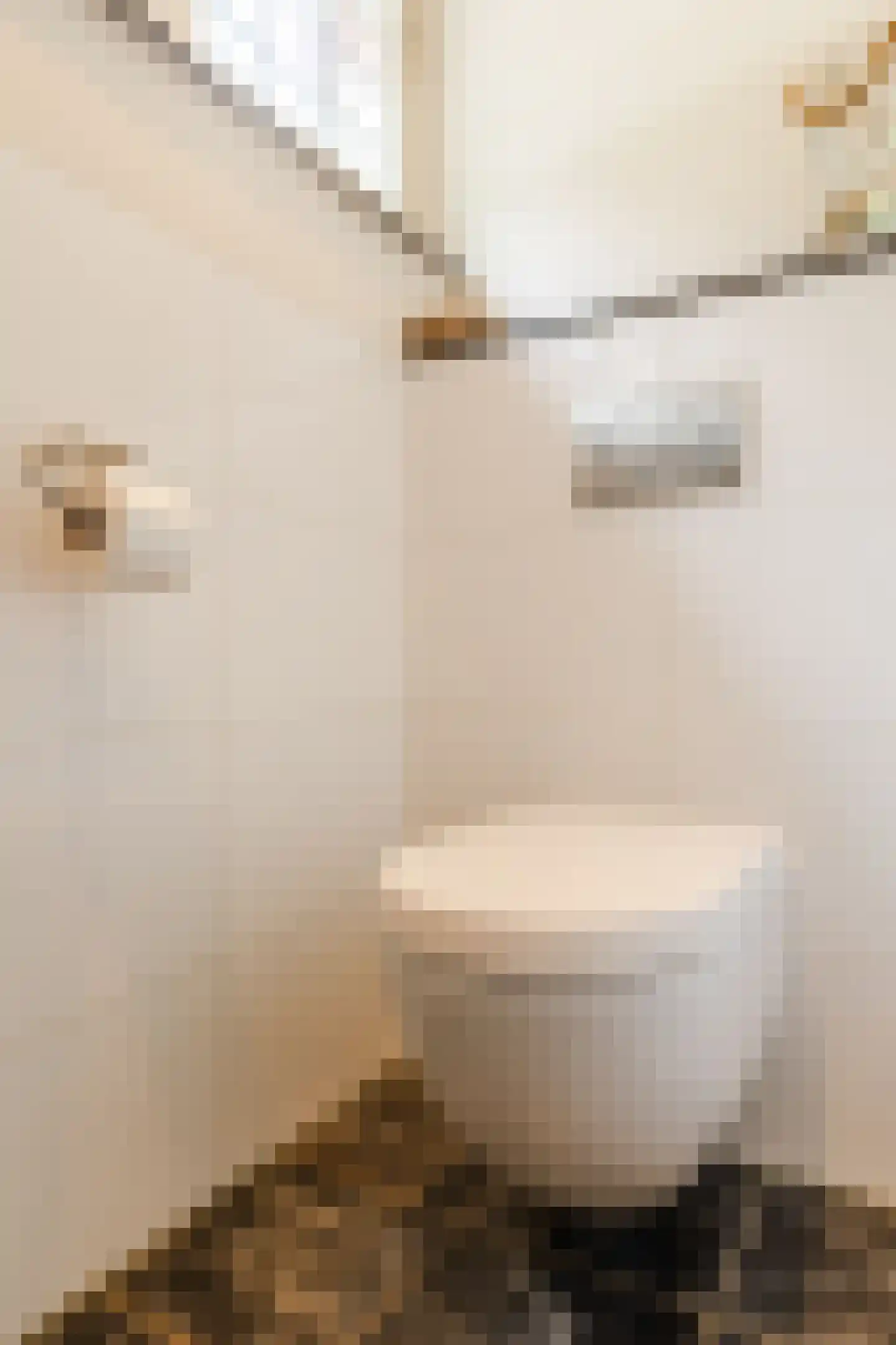 Peijerstraat 35 Echt thumbnail 14