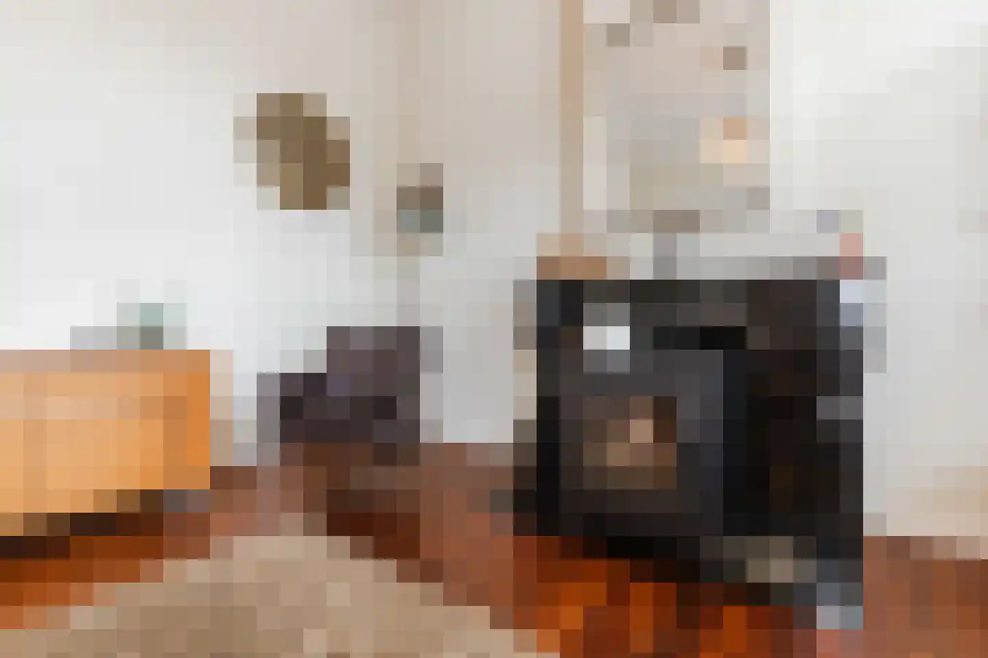 Peijerstraat 35 Echt thumbnail 18