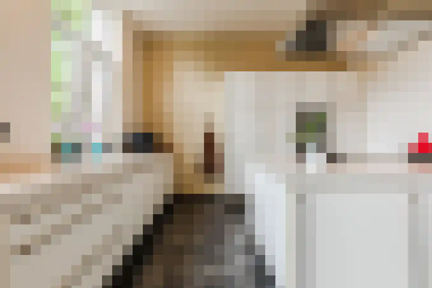 Peijerstraat 35 Echt thumbnail 25