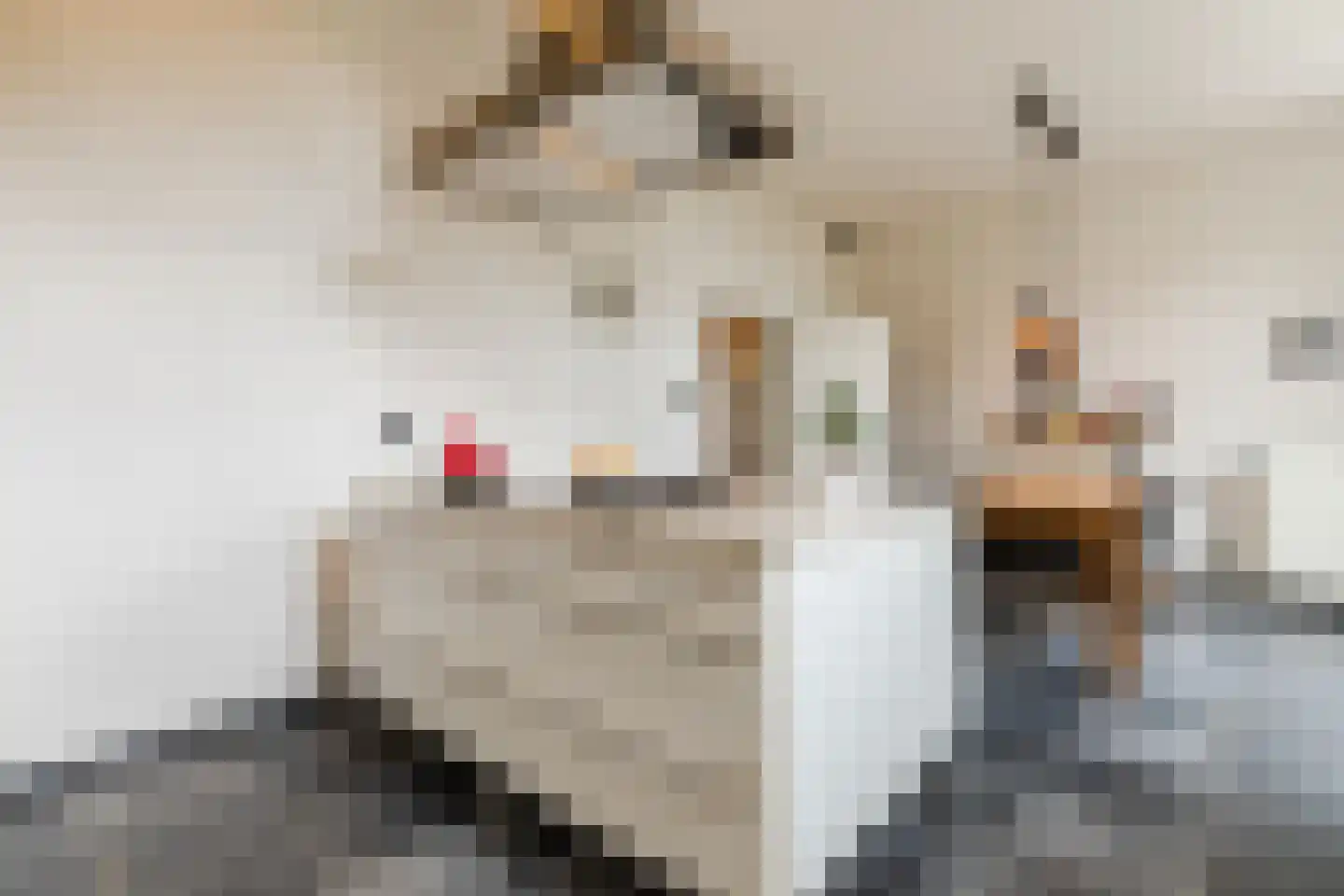 Peijerstraat 35 Echt thumbnail 26