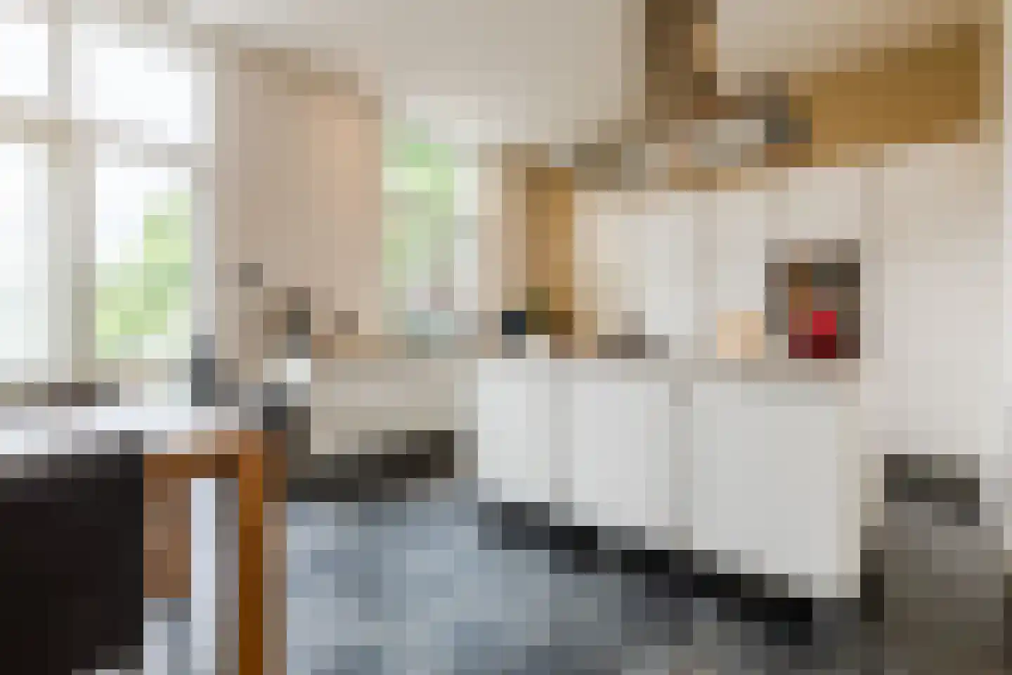 Peijerstraat 35 Echt thumbnail 28