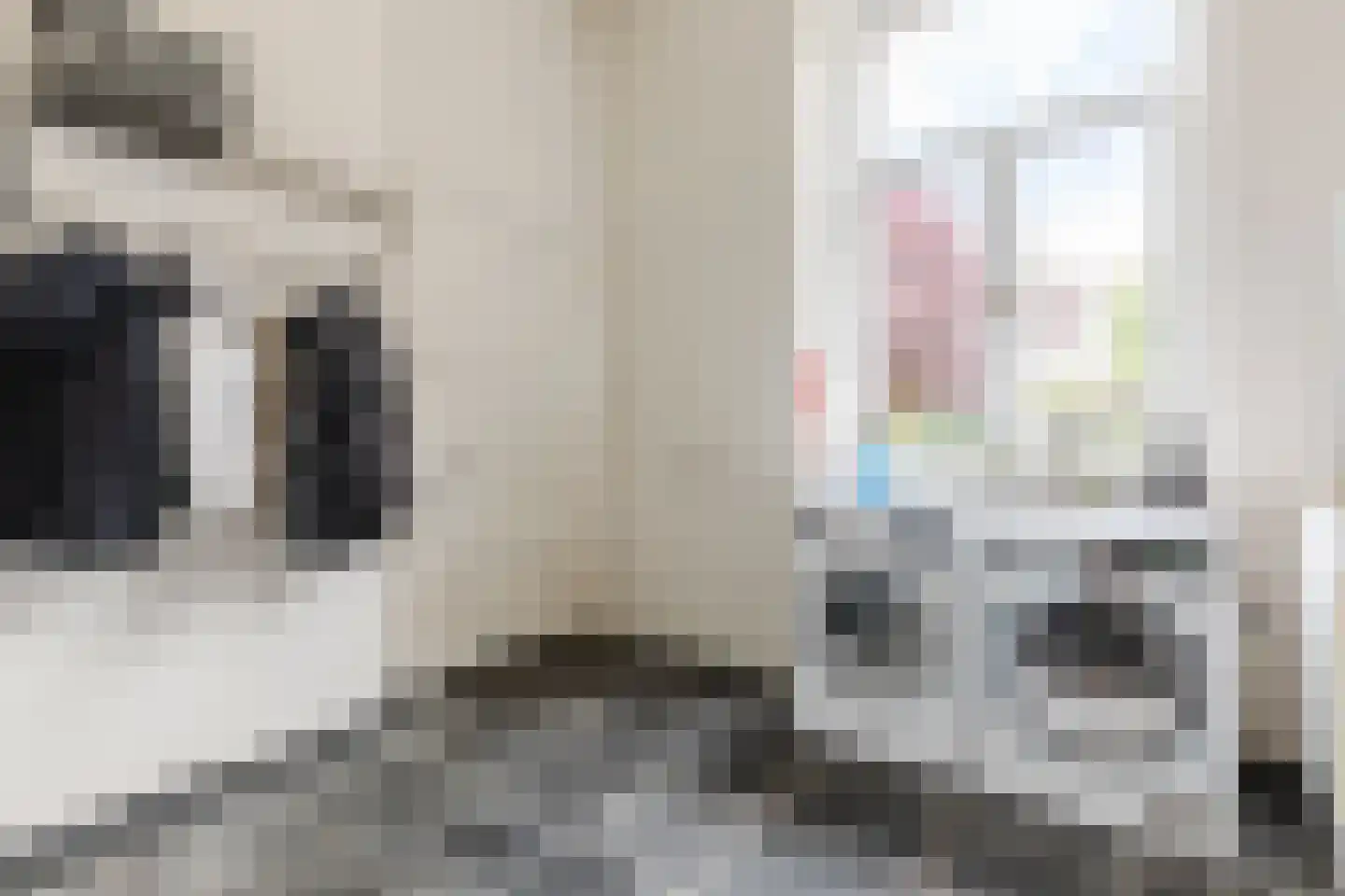 Peijerstraat 35 Echt thumbnail 31