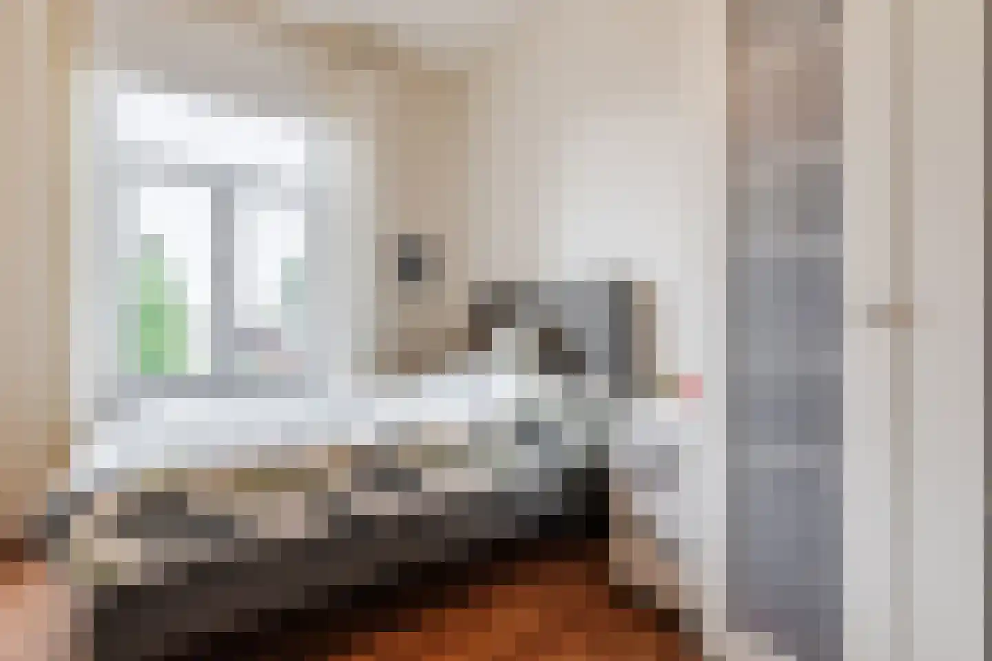 Peijerstraat 35 Echt thumbnail 36