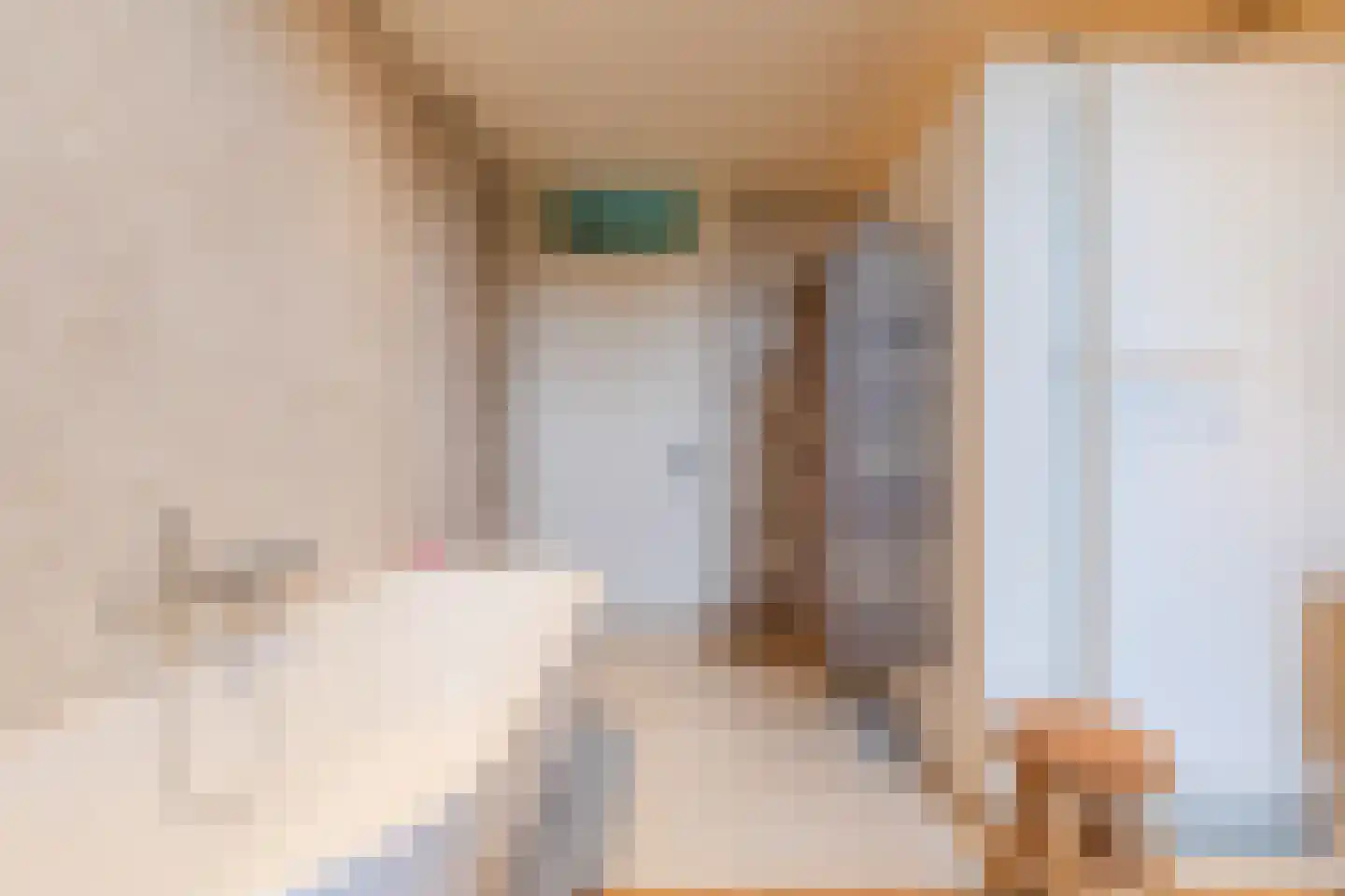 Peijerstraat 35 Echt thumbnail 43