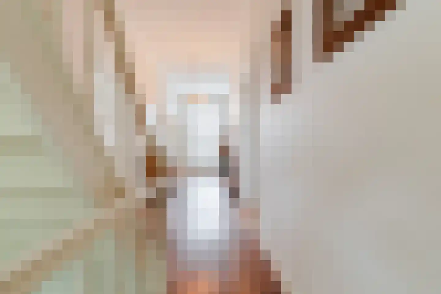 Peijerstraat 35 Echt thumbnail 50