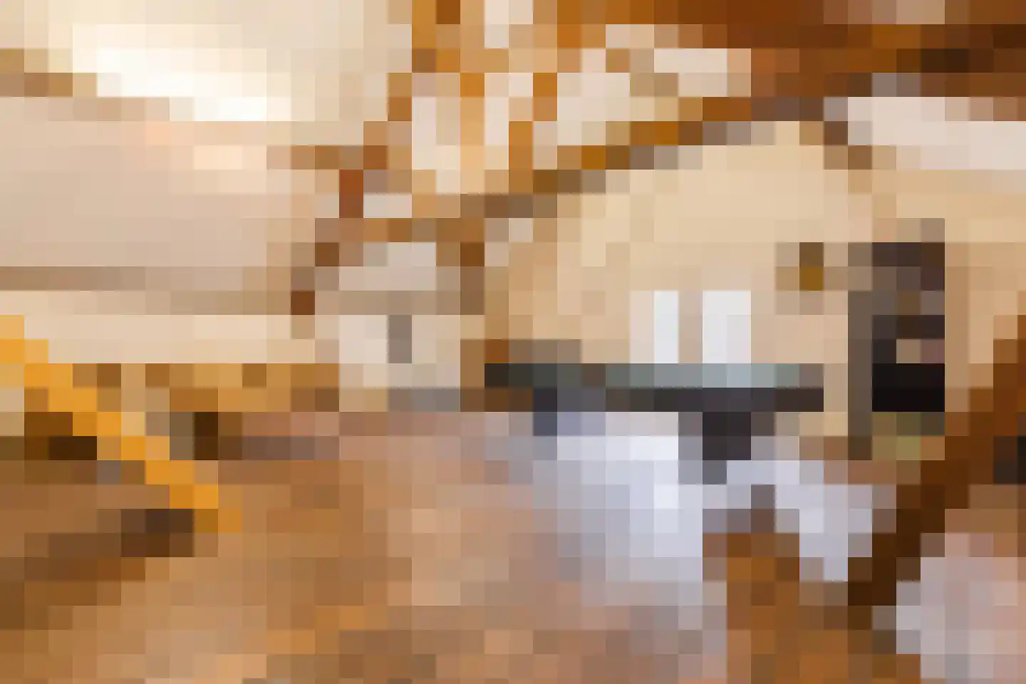 Peijerstraat 35 Echt thumbnail 54