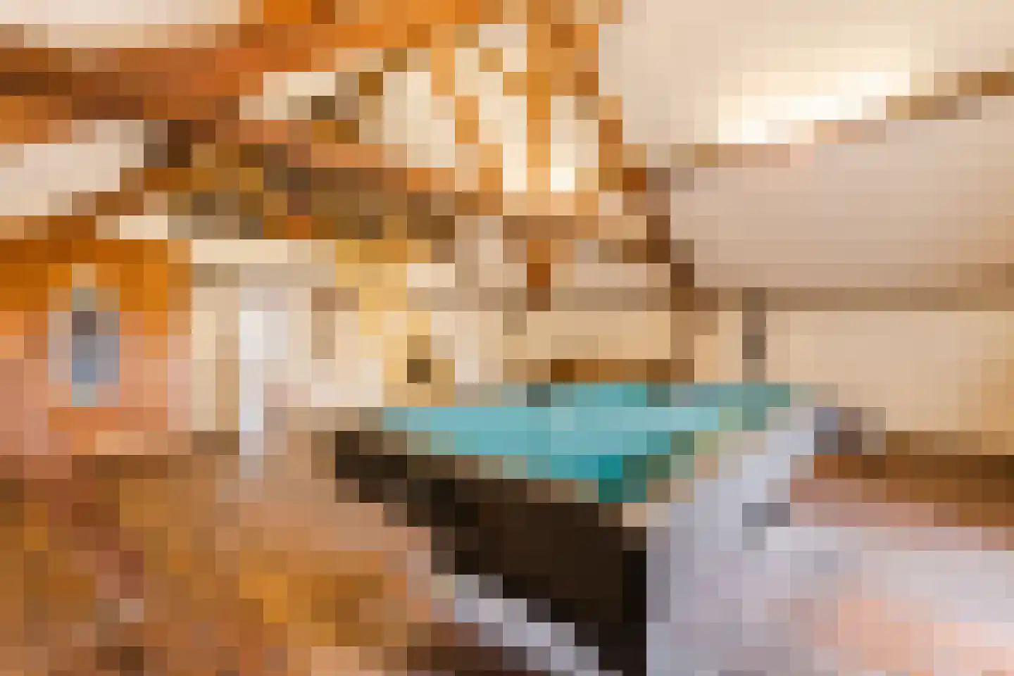 Peijerstraat 35 Echt thumbnail 55