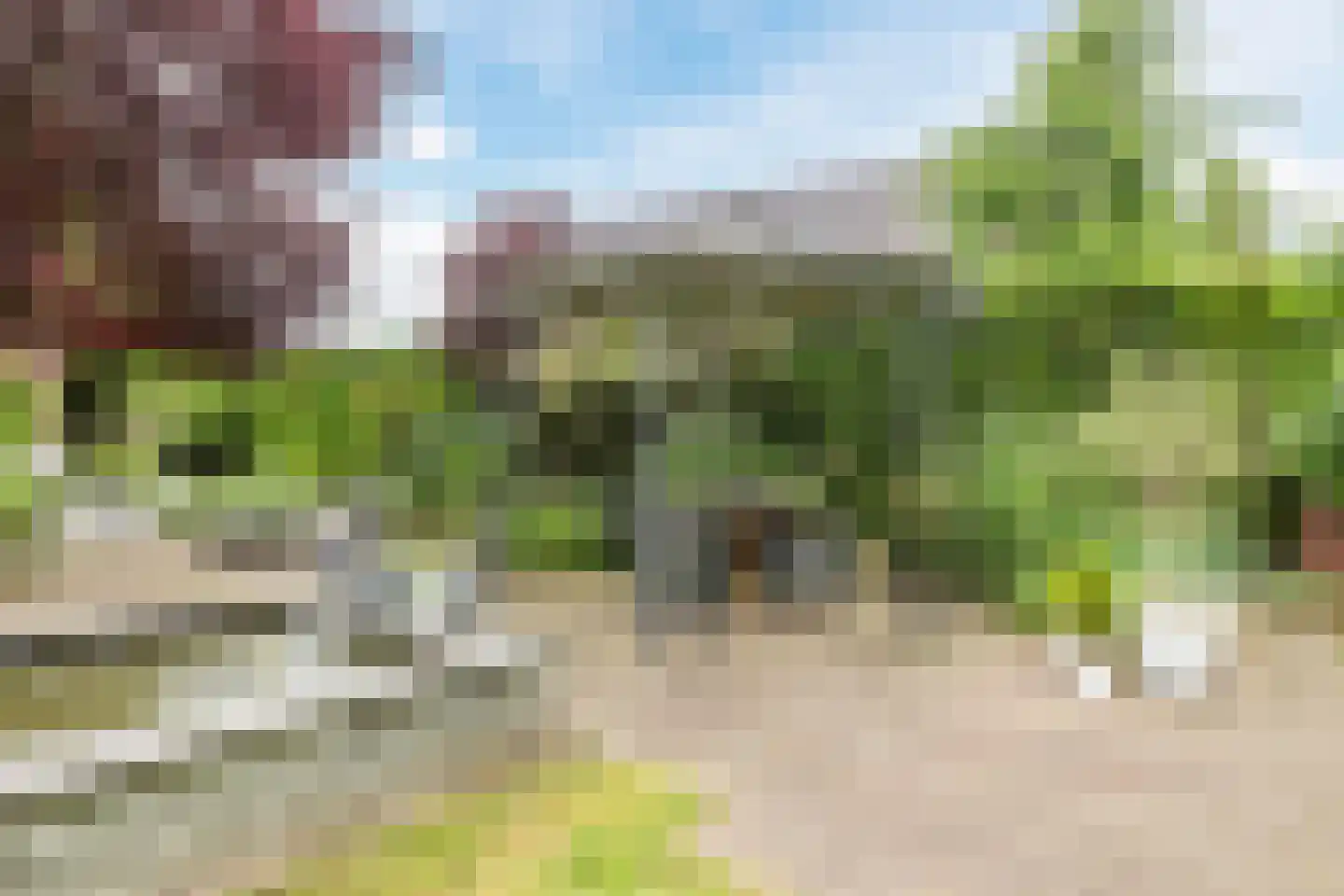 Peijerstraat 35 Echt thumbnail 63