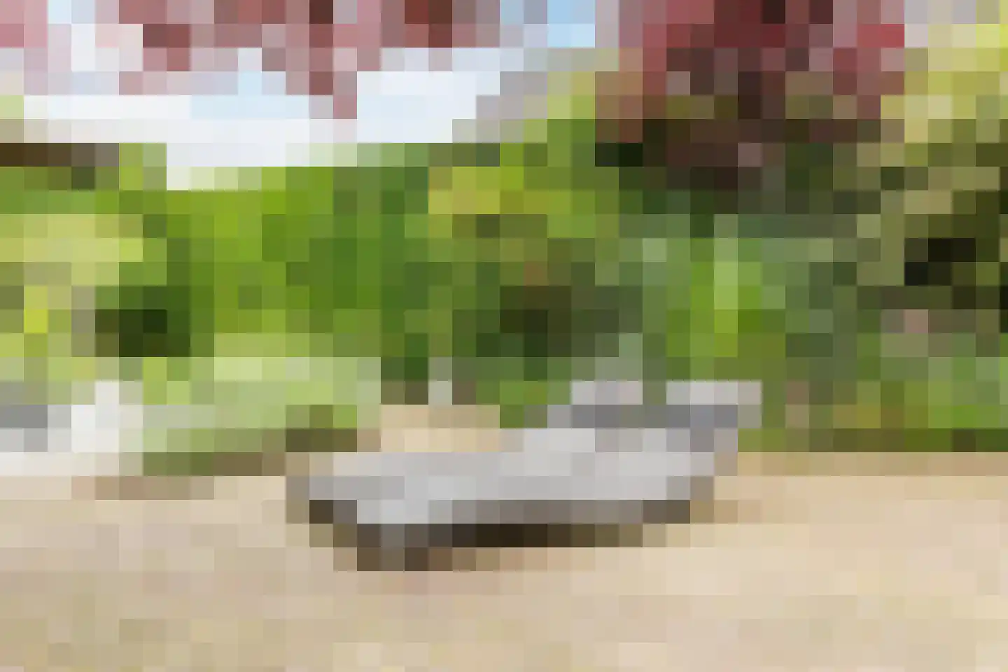 Peijerstraat 35 Echt thumbnail 65
