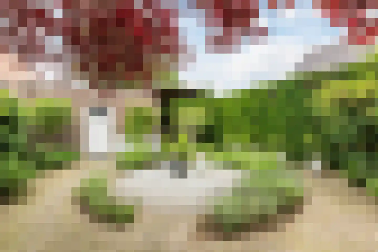 Peijerstraat 35 Echt thumbnail 66