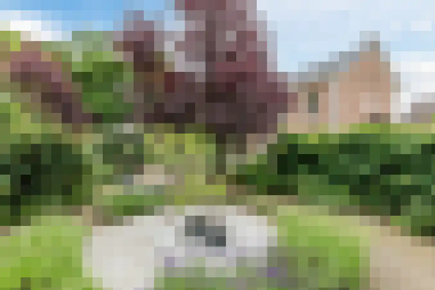 Peijerstraat 35 Echt thumbnail 67