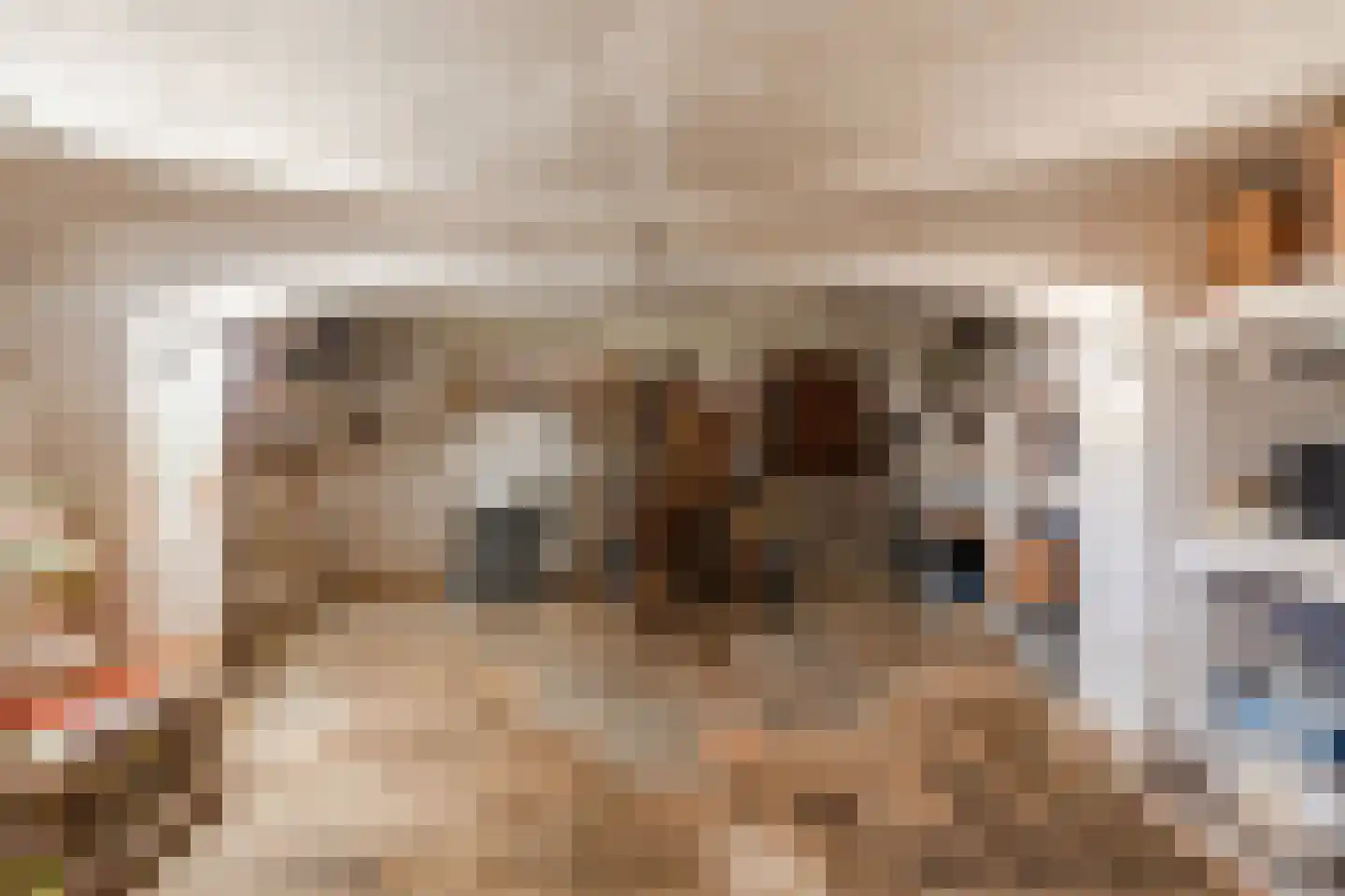 Peijerstraat 35 Echt thumbnail 72
